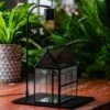 Handmade Twisted Wire House Shape Glass Geometric Terrarium With LED Light Set, Snail Jumping Spider Enclosure, Insect Container Set -Terrarium Plant Hub IMG 2576