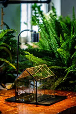 Handmade Vintage Greenhouse Inspired Tin Terrarium With LED Grow Light Set, Closed Glass Planter Set -Terrarium Plant Hub IMG 3020