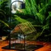 Handmade Glass Terrarium With LED Grow Light Set, Side Door Closed Geometric GreenHouse With Base And Light Set -Terrarium Plant Hub IMG 3021