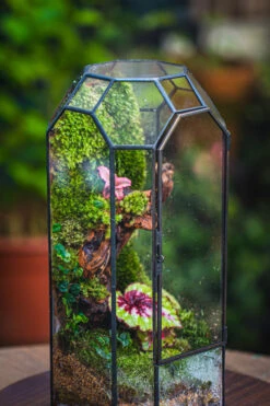 Vintage Tall Octagon Geometric Tin Glass Terrarium , 12.6" , Close, Suitable For Tall Plants, Orchid, Small Begonia Pitcher, Micro Landscape -Terrarium Plant Hub IMG 3136