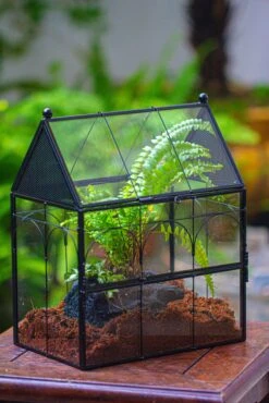 NCYP Vintage House Shape Glass Geometric Terrarium, With Side Door, With Mesh / Vent Holes For Small Insects Pet Building Set -Terrarium Plant Hub IMG 3357