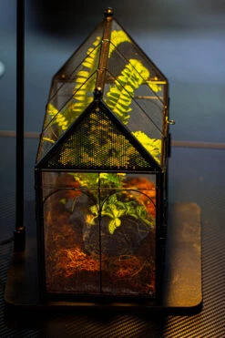 NCYP Vintage House Shape Glass Geometric Terrarium, With Side Door, With Mesh / Vent Holes For Small Insects Pet Building Set -Terrarium Plant Hub IMG 3363