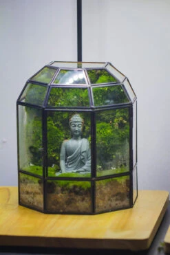 Half Dome Geometric Glass Terrarium, Close, Succulents Planter Pot Miniature Landscape Bonsai Container -Terrarium Plant Hub IMG 3372