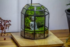 Half Dome Geometric Glass Terrarium, Close, Succulents Planter Pot Miniature Landscape Bonsai Container -Terrarium Plant Hub IMG 3374