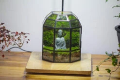 Half Dome Geometric Glass Terrarium, Close, Succulents Planter Pot Miniature Landscape Bonsai Container -Terrarium Plant Hub IMG 3375