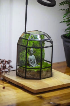 Half Dome Geometric Glass Terrarium, Close, Succulents Planter Pot Miniature Landscape Bonsai Container -Terrarium Plant Hub IMG 3377 2