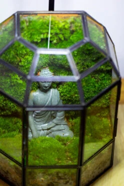 Half Dome Geometric Glass Terrarium, Close, Succulents Planter Pot Miniature Landscape Bonsai Container -Terrarium Plant Hub IMG 3380 3