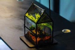 NCYP Vintage House Shape Glass Geometric Terrarium, With Side Door, With Mesh / Vent Holes For Small Insects Pet Building Set -Terrarium Plant Hub IMG 3381