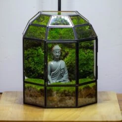 Half Dome Geometric Glass Terrarium, Close, Succulents Planter Pot Miniature Landscape Bonsai Container -Terrarium Plant Hub IMG 3382