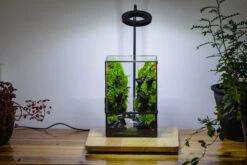 Close Geometric Glass Tin Terrarium , Watertight, 8x10" Container For Moss Wall, Fern, Landscape Waterpond, No Plants -Terrarium Plant Hub IMG 3400