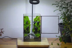 Close Geometric Glass Tin Terrarium , Watertight, 8x10" Container For Moss Wall, Fern, Landscape Waterpond, No Plants -Terrarium Plant Hub IMG 3403