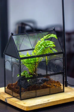 NCYP Vintage House Shape Glass Geometric Terrarium, With Side Door, With Mesh / Vent Holes For Small Insects Pet Building Set -Terrarium Plant Hub IMG 3438 1