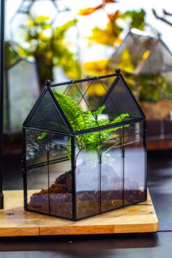 NCYP Vintage House Shape Glass Geometric Terrarium, With Side Door, With Mesh / Vent Holes For Small Insects Pet Building Set -Terrarium Plant Hub IMG 3444 1