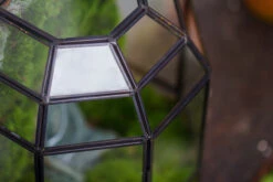 Half Dome Geometric Glass Terrarium, Close, Succulents Planter Pot Miniature Landscape Bonsai Container -Terrarium Plant Hub IMG 3494