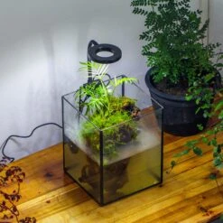 NCYP Watertight Open Geometric Glass Tin Terrarium, For Small Waterpond, Bog, Moss Landscape, Water Pond, Carnivorous Plants -Terrarium Plant Hub IMG 3517