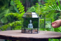 Half Dome Geometric Glass Terrarium, Close, Succulents Planter Pot Miniature Landscape Bonsai Container -Terrarium Plant Hub IMG 3546