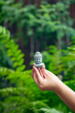Buddha Bodhisattva Miniature Figurines（head） For Terrarium, Bonsai, Miniature, Aquarium, Micro Landscape, -Terrarium Plant Hub IMG 3639 2