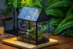Handmade Twisted Wire House Shape Glass Geometric Terrarium With LED Light Set, Snail Jumping Spider Enclosure, Insect Container Set -Terrarium Plant Hub IMG 3744 36440d57 8125 4cca a654 a9beb550c56e