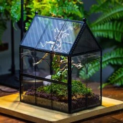 Handmade Twisted Wire House Shape Glass Geometric Terrarium With LED Light Set, Snail Jumping Spider Enclosure, Insect Container Set -Terrarium Plant Hub IMG 3744 3926277b 77b9 4578 9815 75e7da1195b4