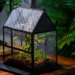 Handmade Twisted Wire House Shape Glass Geometric Terrarium With LED Light Set, Snail Jumping Spider Enclosure, Insect Container Set -Terrarium Plant Hub IMG 3765 368f5bd0 dcc4 4735 ac3d cb2f5215f71c