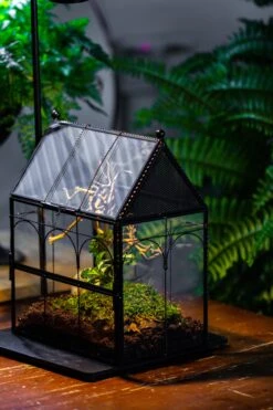 Handmade Twisted Wire House Shape Glass Geometric Terrarium With LED Light Set, Snail Jumping Spider Enclosure, Insect Container Set -Terrarium Plant Hub IMG 3765 d0c8febf fbea 47ff 8e1c 4a3bf89e6d0c