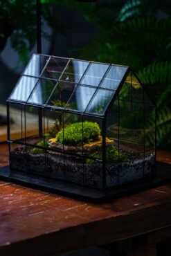 Handmade Glass Terrarium With LED Grow Light Set, Side Door Closed Geometric GreenHouse With Base And Light Set -Terrarium Plant Hub IMG 3803 1b2ab8c5 1de5 4bf9 a387 8c8c43157c5d
