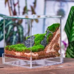 NCYP Acrylic Close Terrarium With Drainage Bottom, Suits For Fly Trap, Pitcher Plants, Moss Ball, Nursery, Small Tropical Plants -Terrarium Plant Hub IMG 3815