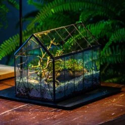 Handmade Vintage Greenhouse Inspired Tin Terrarium With LED Grow Light Set, Closed Glass Planter Set -Terrarium Plant Hub IMG 3827 67a7c986 9f0e 40cd b463 c72bde032b89