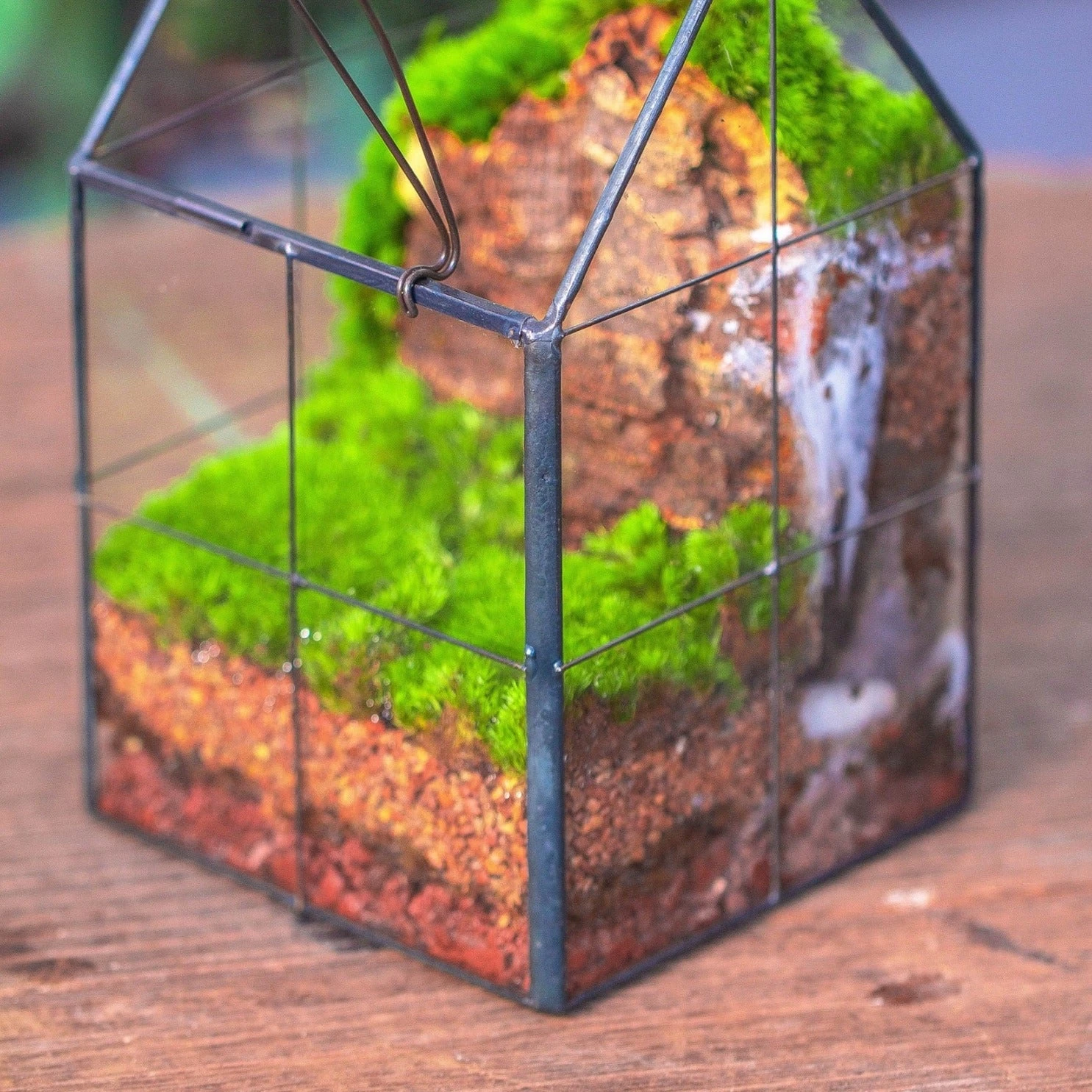 Natural Diatomaceous Rockes Stones For Top Dressing, Paving, Soil Conditioner, Potted Plants 4 Natural Diatomaceous Rockes Stones For Top Dressing, Paving, Soil Conditioner, Potted Plants - Image 2