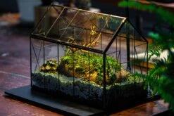 Handmade Vintage Greenhouse Inspired Tin Terrarium With LED Grow Light Set, Closed Glass Planter Set -Terrarium Plant Hub IMG 3835 1d9a6c8a 1945 422d b765 63fbdea09d3d