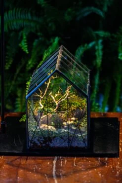 Handmade Vintage Greenhouse Inspired Tin Terrarium With LED Grow Light Set, Closed Glass Planter Set -Terrarium Plant Hub IMG 3841 8071356b 6a20 468c b1ec 69c52ce29e21
