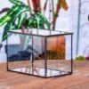 NCYP Watertight Close Small Rectangle Geometric Glass Tin Terrarium, For Small Waterpond, Moss Landscape, Live Miniature, Water Pond -Terrarium Plant Hub IMG 3899