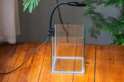 Open Moss Terrarium Building DIY Set With LED For Carnivorous Plants: Pitcher -Terrarium Plant Hub IMG 3967