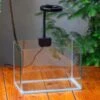 WaterTight Curved Glass Terrarium With Grow Lamp For Tropical Bog Plants 1 WaterTight Curved Glass Terrarium With Grow Lamp For Tropical Bog Plants -Terrarium Plant Hub IMG 3971 1