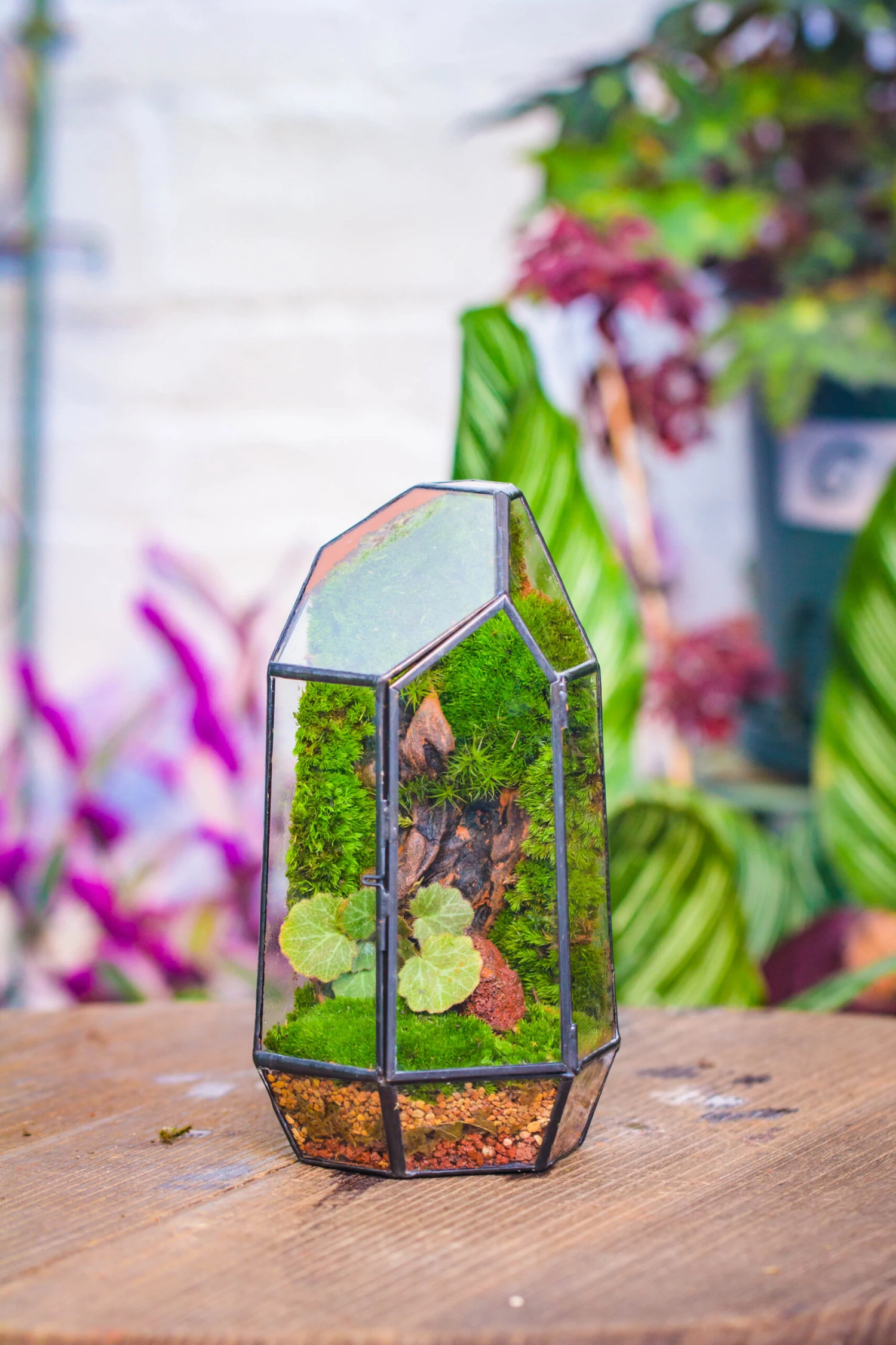 NCYP 8.66" Height Closed Irregular Glass Terrarium With Door Succulent Planter Geometric Flower Plant Pot Tabletop Small Bonsai 10 NCYP 8.66" Height Closed Irregular Glass Terrarium With Door Succulent Planter Geometric Flower Plant Pot Tabletop Small Bonsai - Image 8