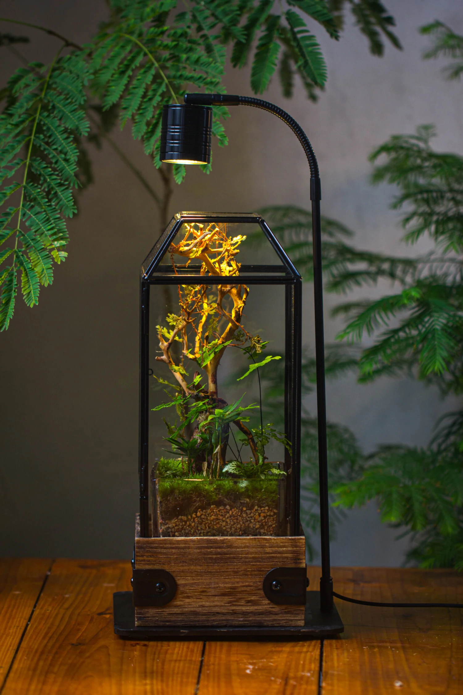 Handmade Glass Terrarium With Wood Base, Geometric Jumping Spider Enclosure, With Mesh Vent, For Plants, Snail, Insects 17 Handmade Glass Terrarium With Wood Base, Geometric Jumping Spider Enclosure, With Mesh Vent, For Plants, Snail, Insects - Image 15