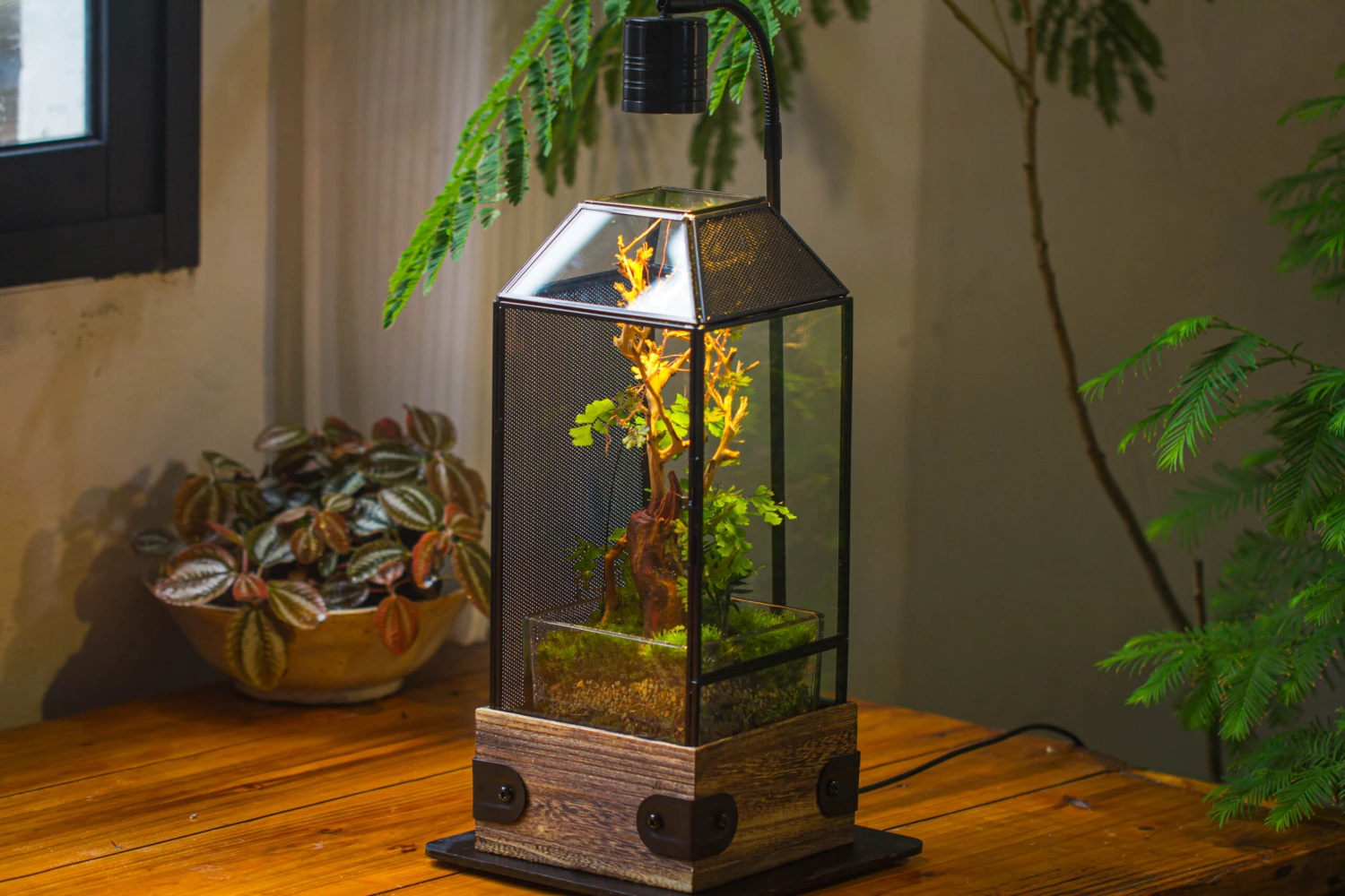 Handmade Glass Terrarium With Wood Base, Geometric Jumping Spider Enclosure, With Mesh Vent, For Plants, Snail, Insects 18 Handmade Glass Terrarium With Wood Base, Geometric Jumping Spider Enclosure, With Mesh Vent, For Plants, Snail, Insects - Image 16