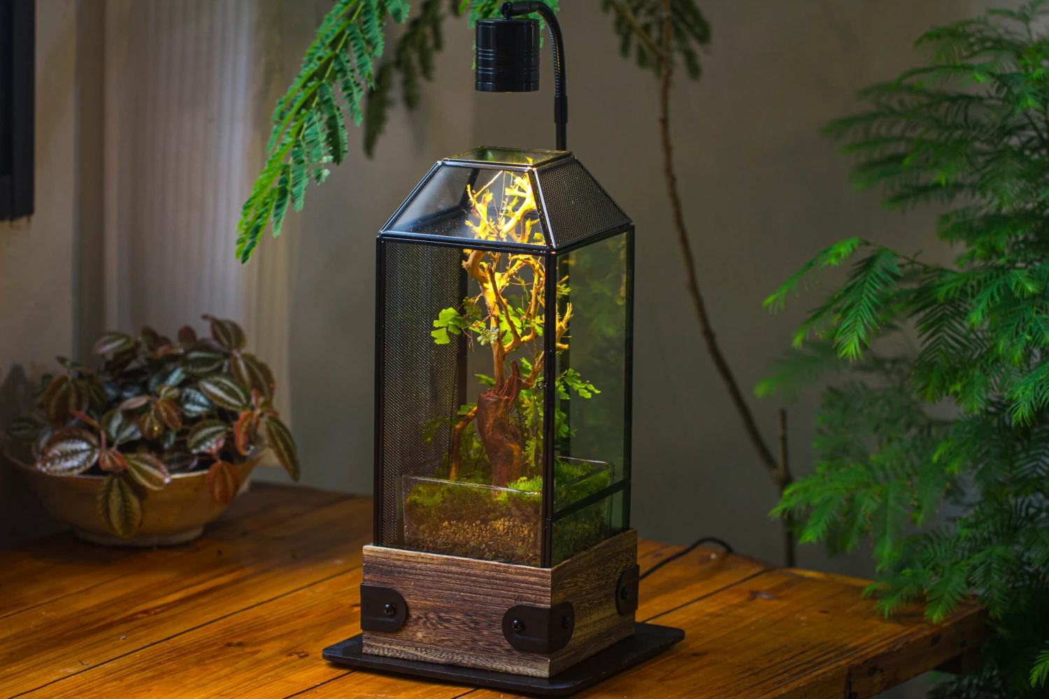 Handmade Glass Terrarium With Wood Base, Geometric Jumping Spider Enclosure, With Mesh Vent, For Plants, Snail, Insects 19 Handmade Glass Terrarium With Wood Base, Geometric Jumping Spider Enclosure, With Mesh Vent, For Plants, Snail, Insects - Image 17