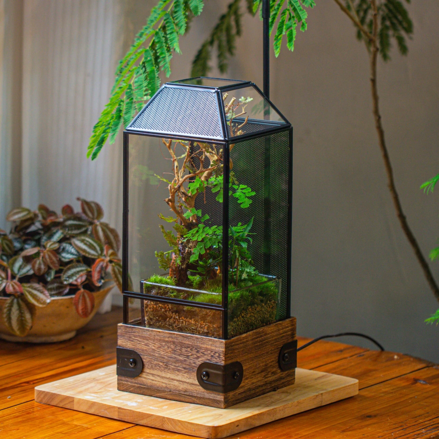 Handmade Glass Terrarium With Wood Base, Geometric Jumping Spider Enclosure, With Mesh Vent, For Plants, Snail, Insects 6 Handmade Glass Terrarium With Wood Base, Geometric Jumping Spider Enclosure, With Mesh Vent, For Plants, Snail, Insects - Image 4