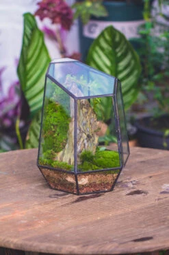 NCYP Large Close Geometric Glass Terrarium With Door, Tin Sealed Irregular Tall Planter For Moss Flower Pot -Terrarium Plant Hub IMG 4243