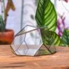 Geometric Terrarium Irregular, Handmade,Tin And Glass -Terrarium Plant Hub IMG 4254
