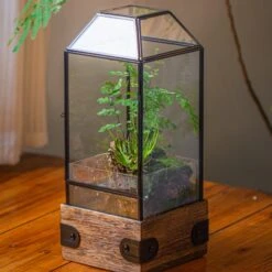 Handmade Glass Terrarium With Wood Base, Geometric Planter With Door, With LED Wood Lamp Base For Plants, Moss Landscapes, Plant Lover Gift 23 Handmade Glass Terrarium With Wood Base, Geometric Planter With Door, With LED Wood Lamp Base For Plants, Moss Landscapes, Plant Lover Gift -Terrarium Plant Hub IMG 4289