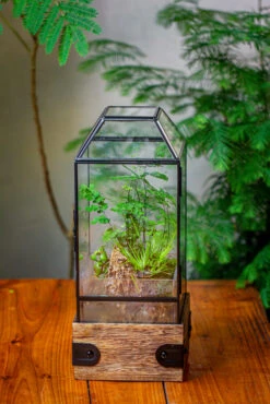 Handmade Glass Terrarium With Wood Base, Geometric Planter With Door, With LED Wood Lamp Base For Plants, Moss Landscapes, Plant Lover Gift 25 Handmade Glass Terrarium With Wood Base, Geometric Planter With Door, With LED Wood Lamp Base For Plants, Moss Landscapes, Plant Lover Gift -Terrarium Plant Hub IMG 4290