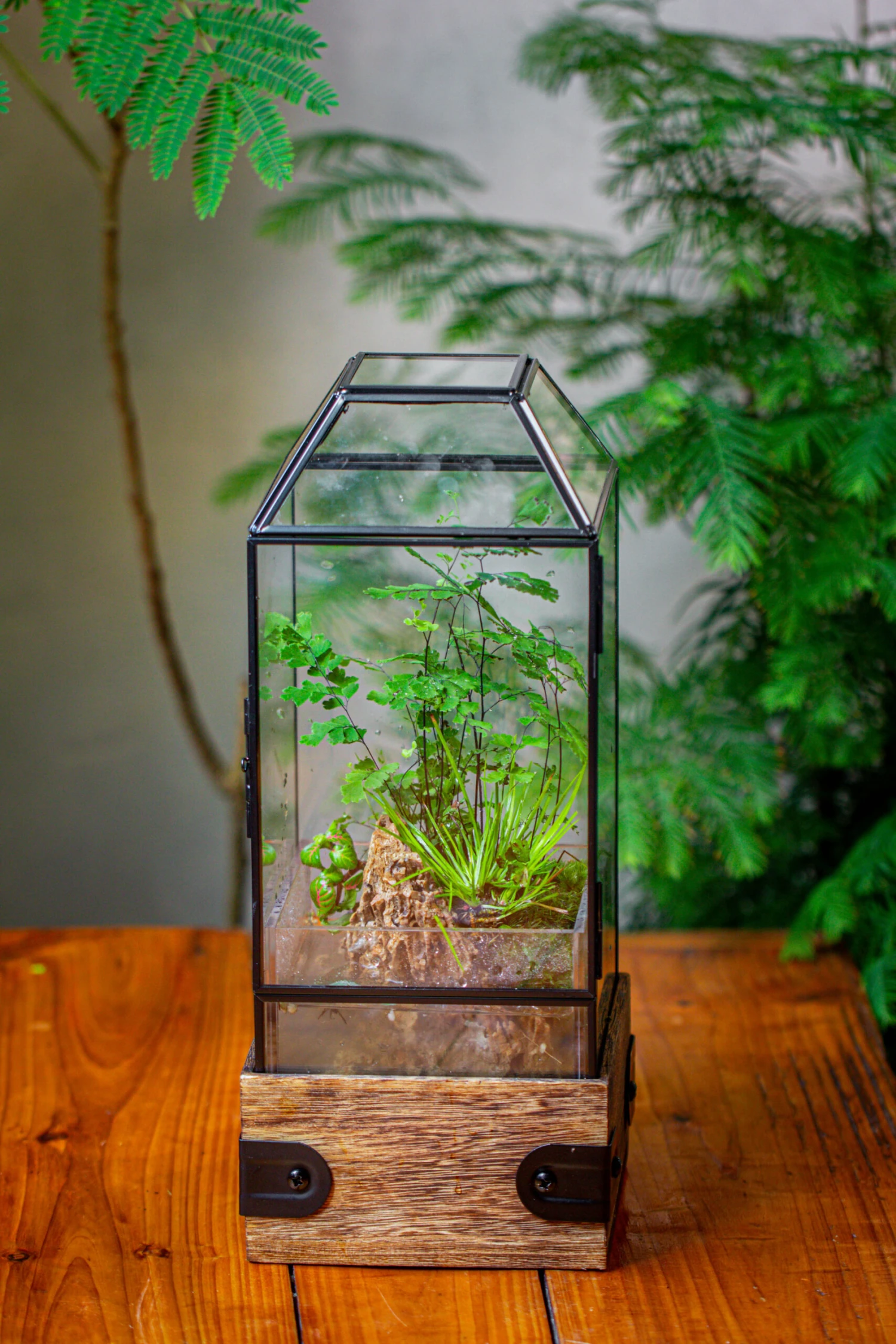 Handmade Glass Terrarium With Wood Base, Geometric Planter With Door, With LED Wood Lamp Base For Plants, Moss Landscapes, Plant Lover Gift 6 Handmade Glass Terrarium With Wood Base, Geometric Planter With Door, With LED Wood Lamp Base For Plants, Moss Landscapes, Plant Lover Gift - Image 4