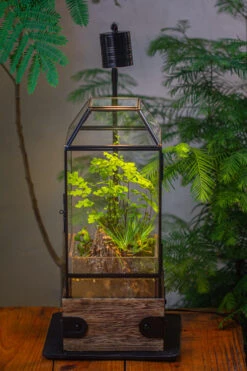 Handmade Glass Terrarium With Wood Base, Geometric Planter With Door, With LED Acrylic Lamp Base For Plants, Moss Landscapes, Plant Lover Gift -Terrarium Plant Hub IMG 4293 5f80df68 64e0 48b2 af99 fb8c7934b588