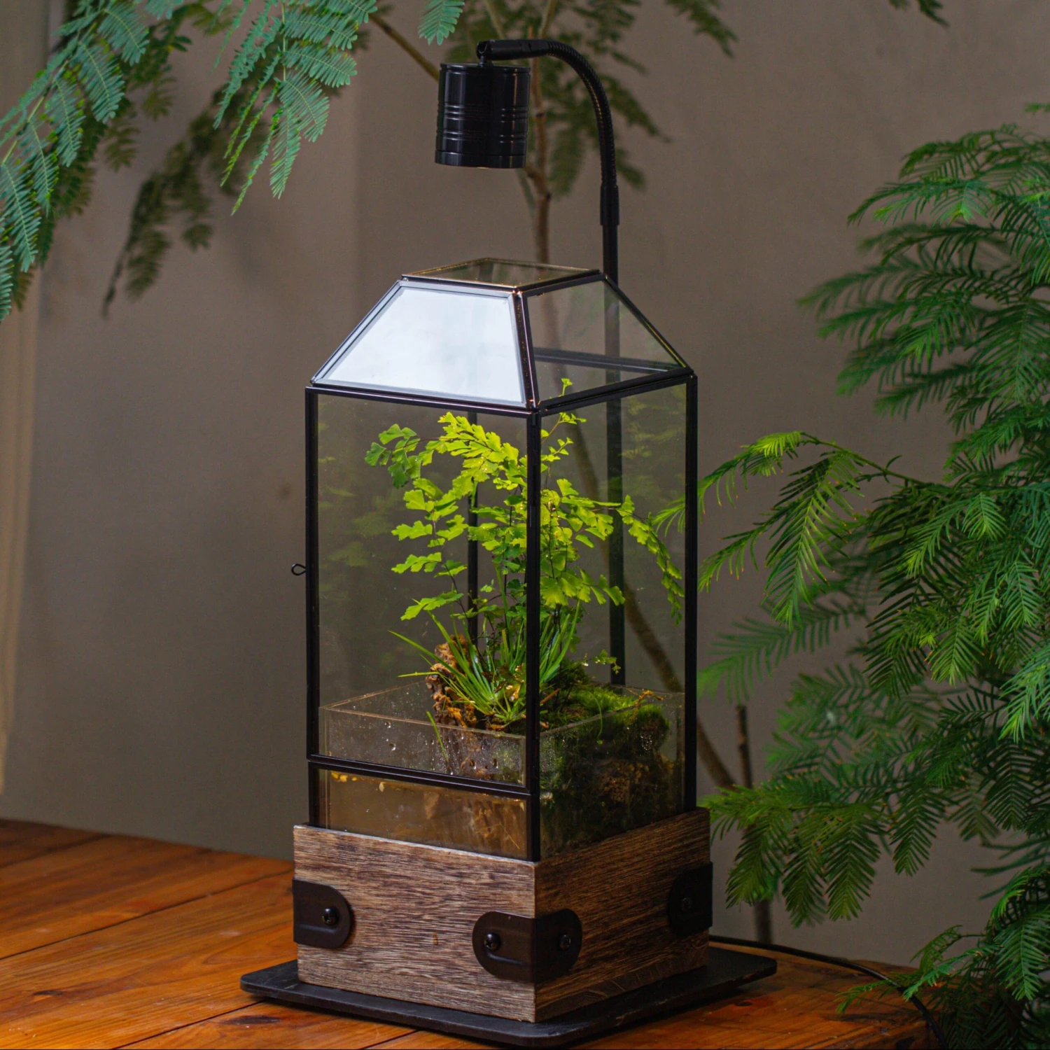 Handmade Glass Terrarium With Wood Base, Geometric Planter With Door, With LED Wood Lamp Base For Plants, Moss Landscapes, Plant Lover Gift 5 Handmade Glass Terrarium With Wood Base, Geometric Planter With Door, With LED Wood Lamp Base For Plants, Moss Landscapes, Plant Lover Gift - Image 3