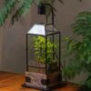 Handmade Glass Terrarium With Wood Base, Geometric Planter With Door, With LED Acrylic Lamp Base For Plants, Moss Landscapes, Plant Lover Gift -Terrarium Plant Hub IMG 4299