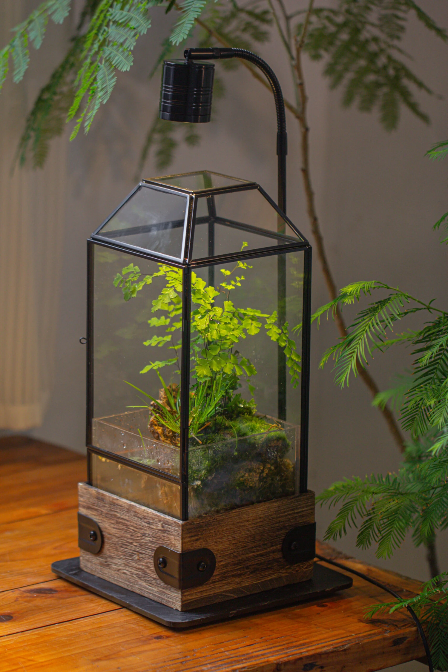 Handmade Glass Terrarium With Wood Base, Geometric Planter With Door, With LED Wood Lamp Base For Plants, Moss Landscapes, Plant Lover Gift 17 Handmade Glass Terrarium With Wood Base, Geometric Planter With Door, With LED Wood Lamp Base For Plants, Moss Landscapes, Plant Lover Gift - Image 15