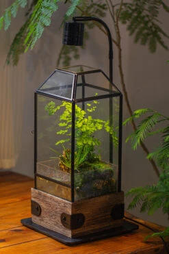Handmade Glass Terrarium With Wood Base, Geometric Planter With Door, With LED Acrylic Lamp Base For Plants, Moss Landscapes, Plant Lover Gift -Terrarium Plant Hub IMG 4301