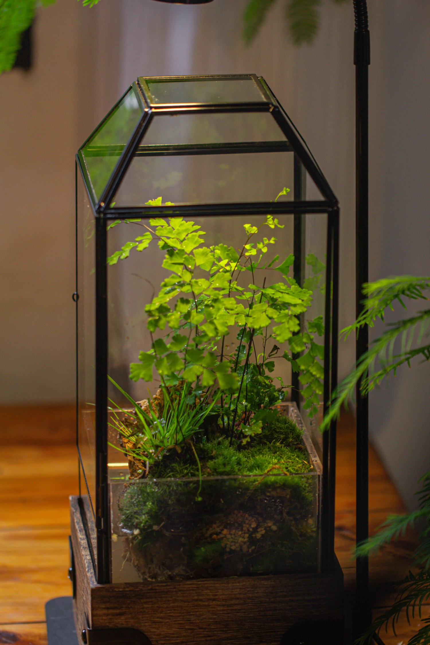 Handmade Glass Terrarium With Wood Base, Geometric Planter With Door, With LED Wood Lamp Base For Plants, Moss Landscapes, Plant Lover Gift 16 Handmade Glass Terrarium With Wood Base, Geometric Planter With Door, With LED Wood Lamp Base For Plants, Moss Landscapes, Plant Lover Gift - Image 14